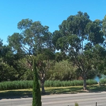 Villa San Salvador Torreilles Plage Экстерьер фото