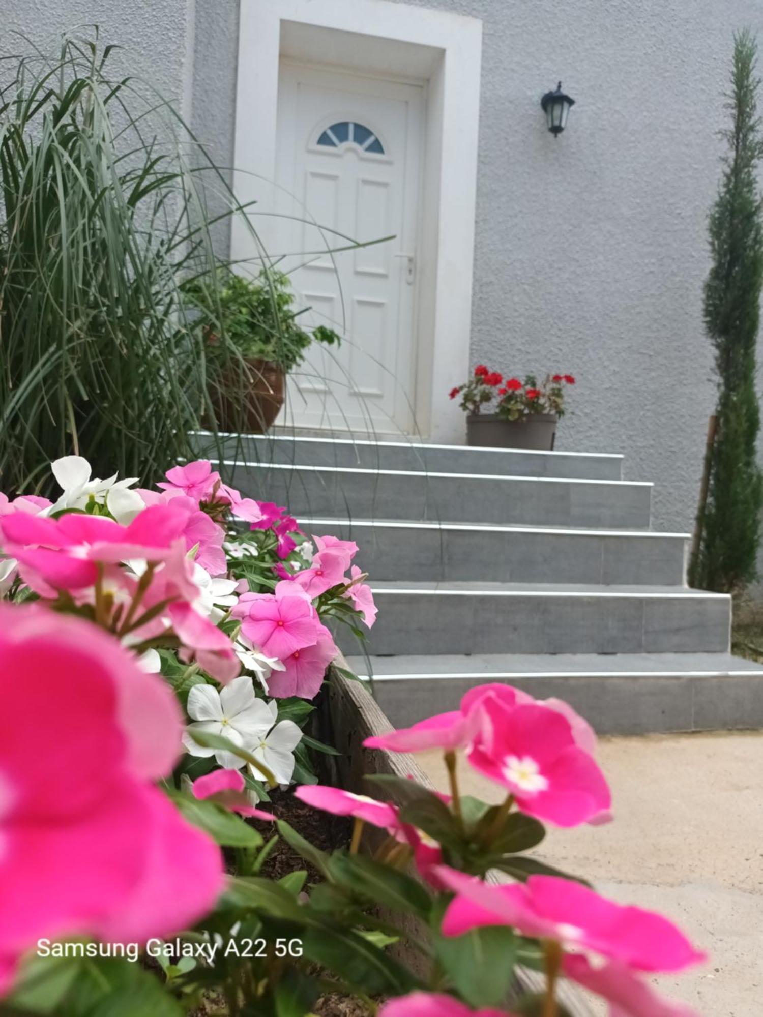 Villa San Salvador Torreilles Plage Экстерьер фото